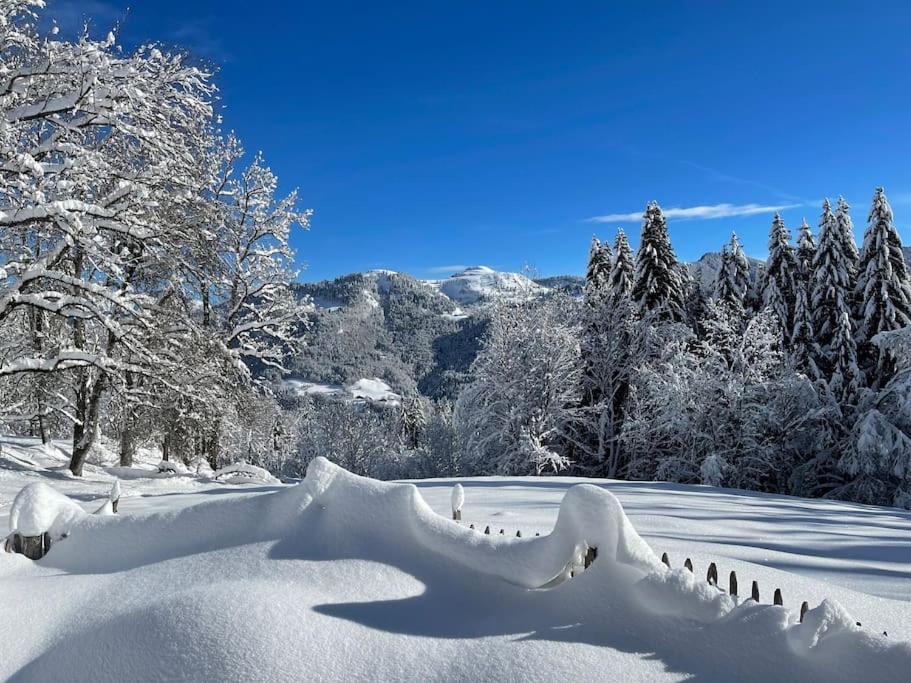 Chalet Alpage Proche Geneve Mégevette Екстериор снимка