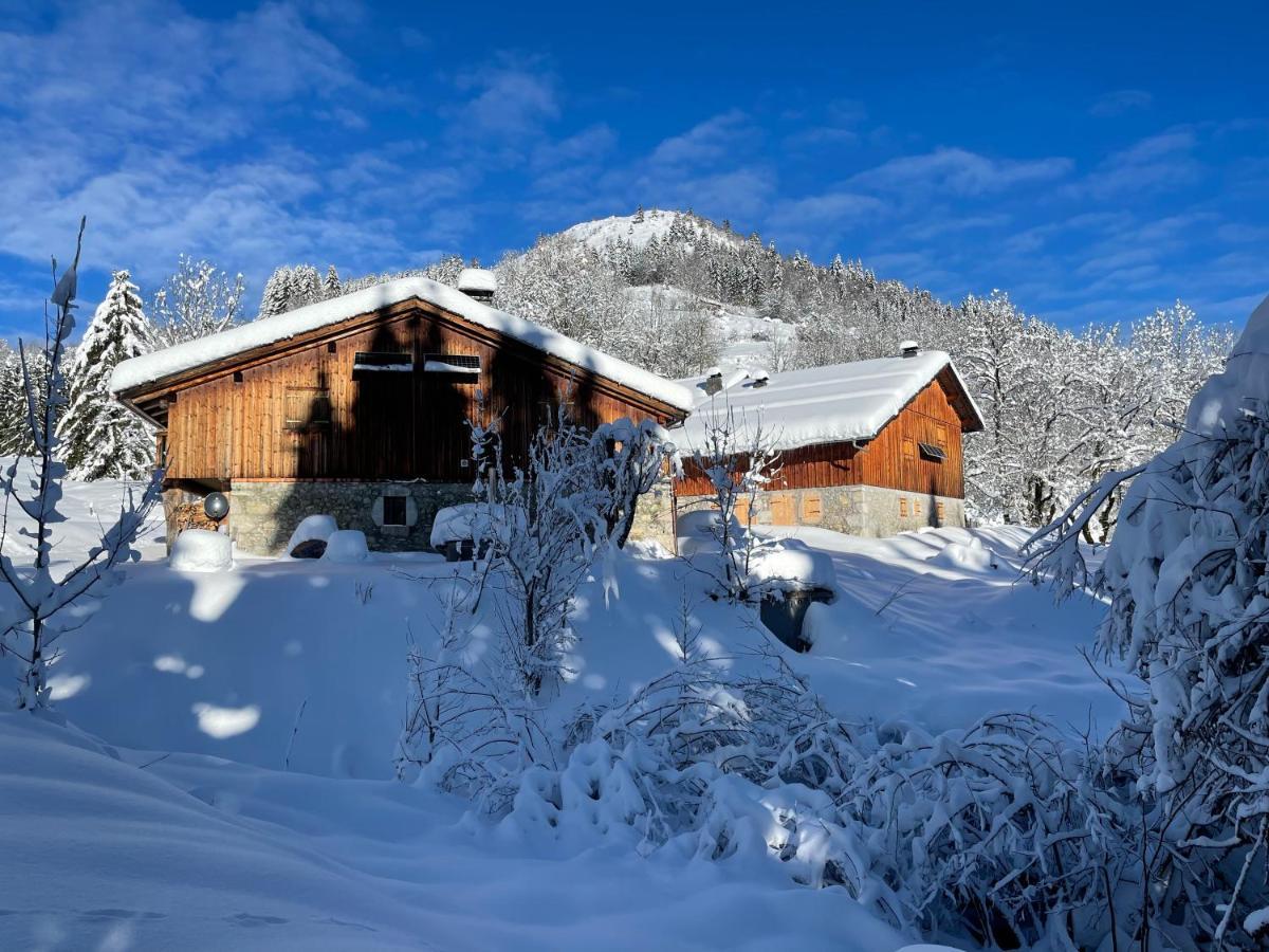 Chalet Alpage Proche Geneve Mégevette Екстериор снимка