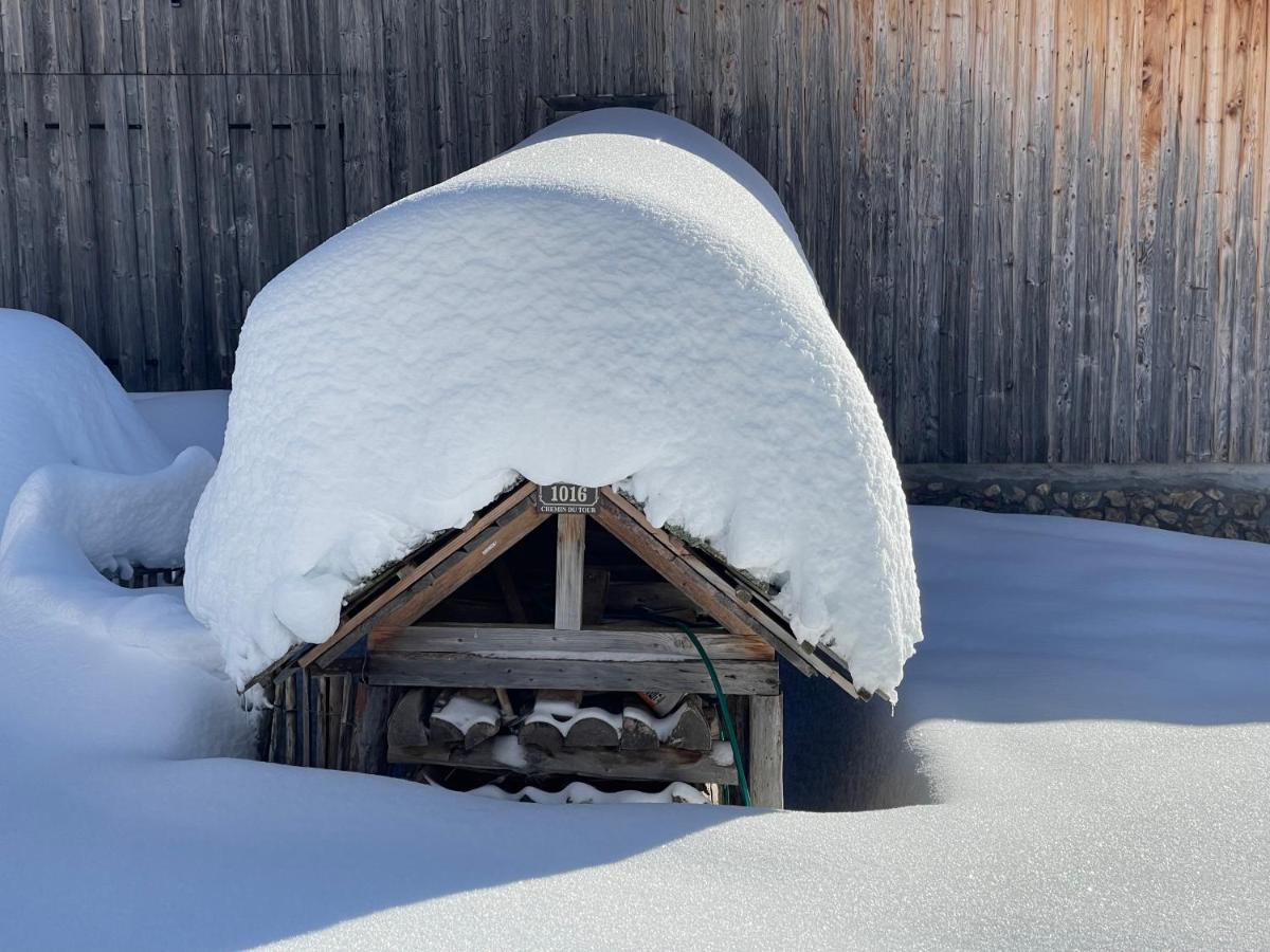 Chalet Alpage Proche Geneve Mégevette Екстериор снимка
