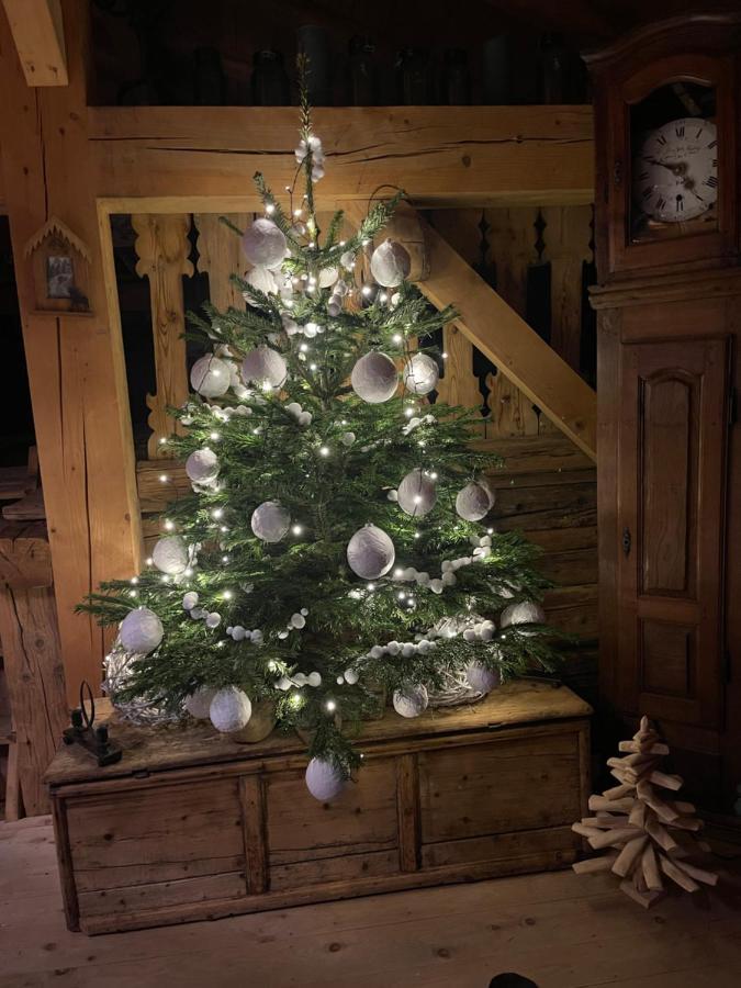 Chalet Alpage Proche Geneve Mégevette Екстериор снимка