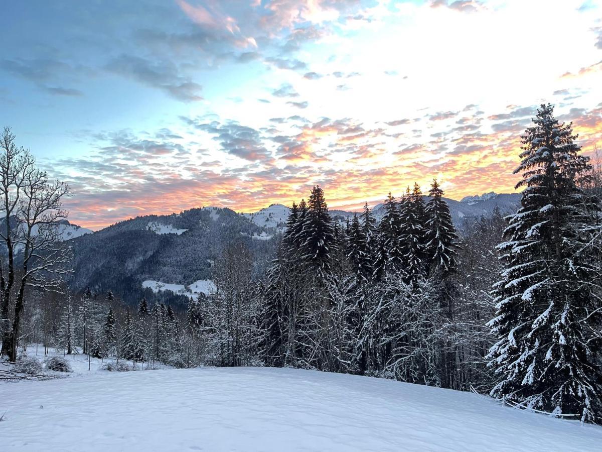 Chalet Alpage Proche Geneve Mégevette Екстериор снимка