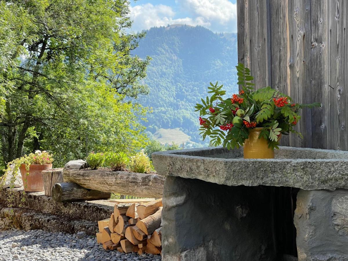Chalet Alpage Proche Geneve Mégevette Екстериор снимка