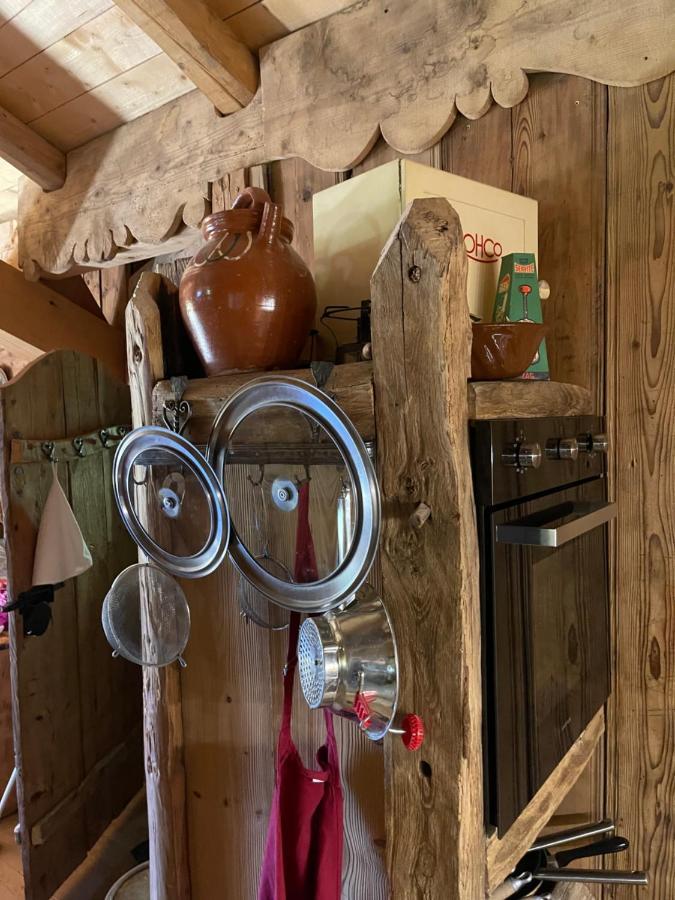 Chalet Alpage Proche Geneve Mégevette Екстериор снимка
