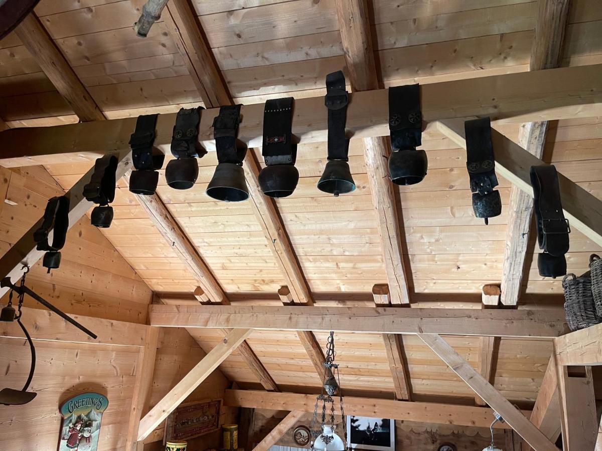 Chalet Alpage Proche Geneve Mégevette Екстериор снимка